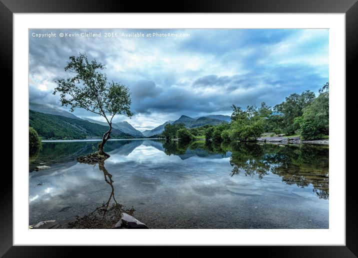 Lonely Tree Framed Mounted Print by Kevin Clelland