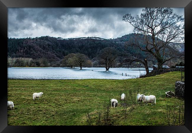  Conwy Valley Flood Framed Print by Chris Evans