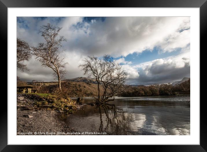 Llyn Padarns Trees  Framed Mounted Print by Chris Evans