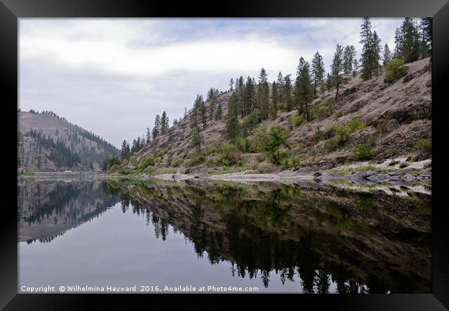 Reflections on the Snake River in Idaho  Framed Print by Wilhelmina Hayward