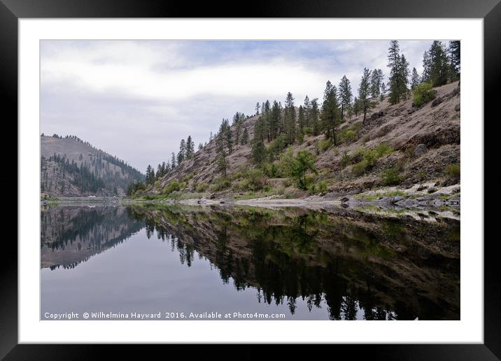 Reflections on the Snake River in Idaho  Framed Mounted Print by Wilhelmina Hayward