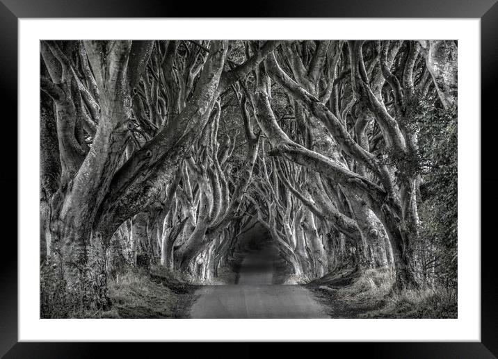 The dark hedges in black and white Framed Mounted Print by HQ Photo