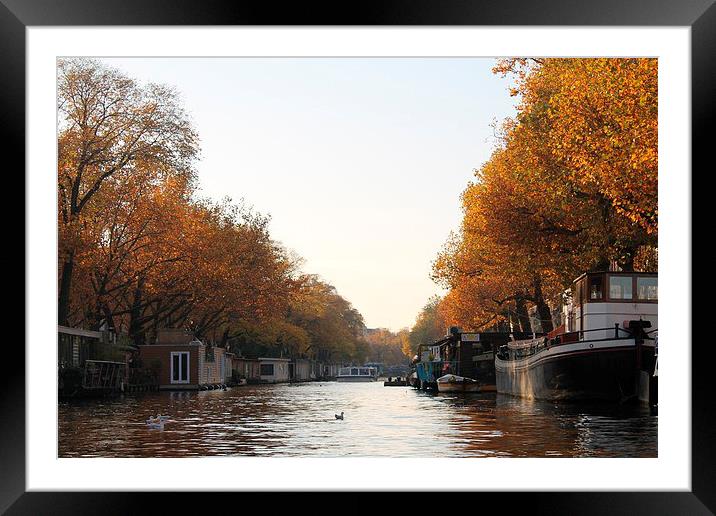 Amsterdam Canal. Framed Mounted Print by Adele Crittenden