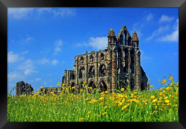  Whitby Abbey Framed Print by David Chennell