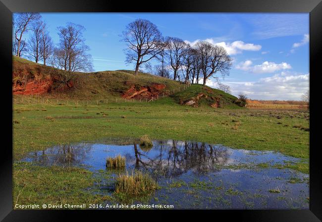 Burton Marshes  Framed Print by David Chennell