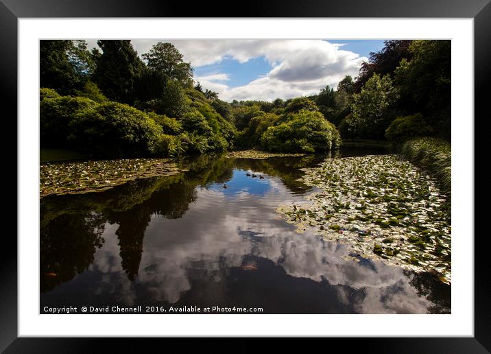 Biddulph Grange Gardens Framed Mounted Print by David Chennell