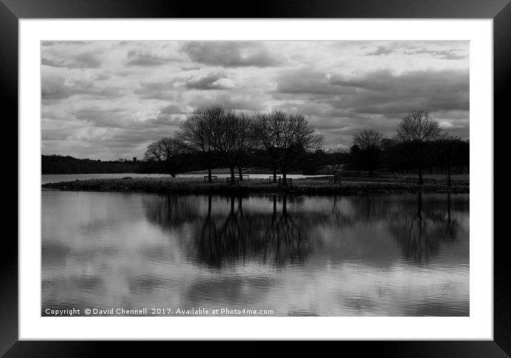 Tatton Park Melchette Mere Framed Mounted Print by David Chennell
