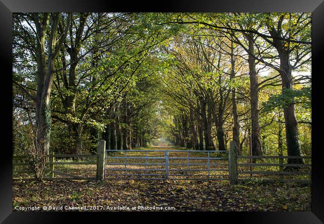 Gateway To Autumn Framed Print by David Chennell