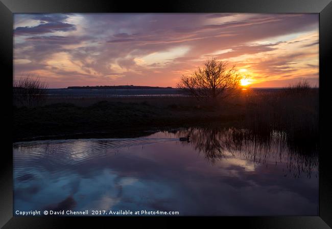 Still Waters  Framed Print by David Chennell