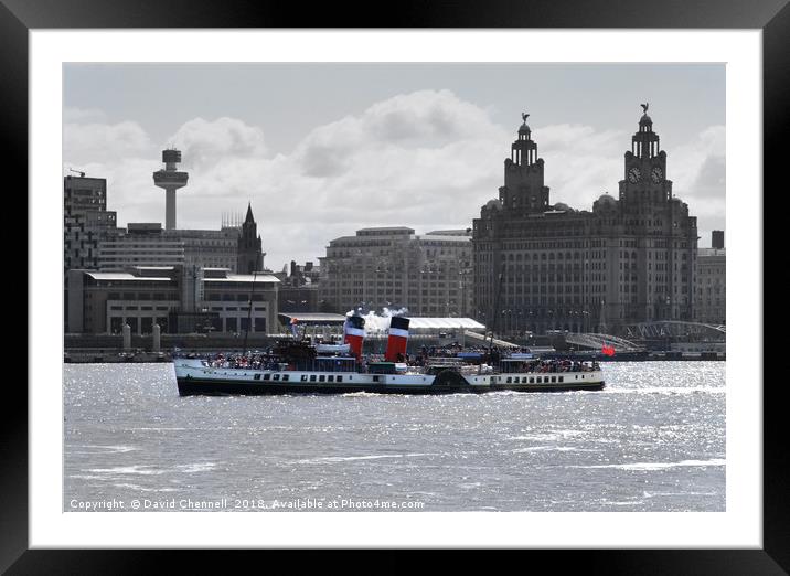 Waverley Paddle Steamer  Framed Mounted Print by David Chennell