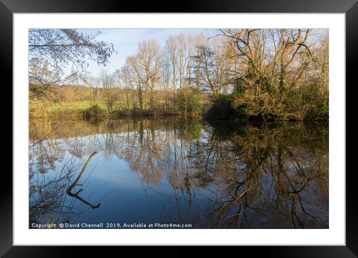 Burton Mere Wetlands  Framed Mounted Print by David Chennell