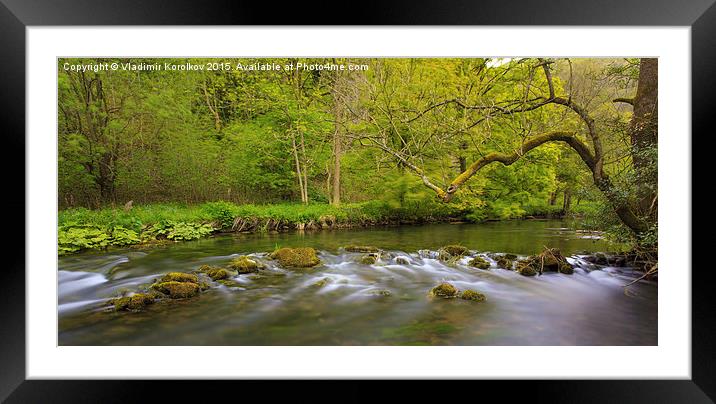 River Dove Framed Mounted Print by Vladimir Korolkov