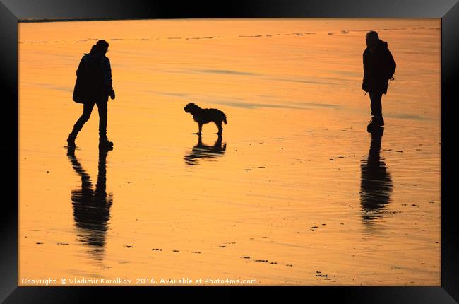 The dog walkers Framed Print by Vladimir Korolkov