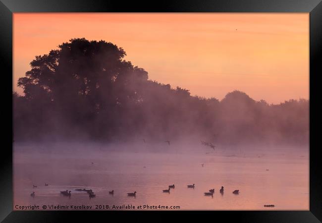 Early morning and birds at Attenborough Framed Print by Vladimir Korolkov