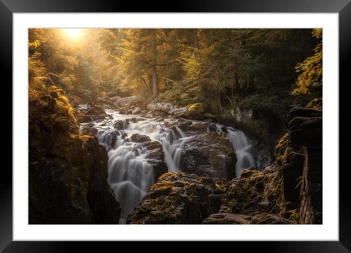 Autumn colours at the Falls of Braan near Dunkeld Framed Mounted Print by Miles Gray