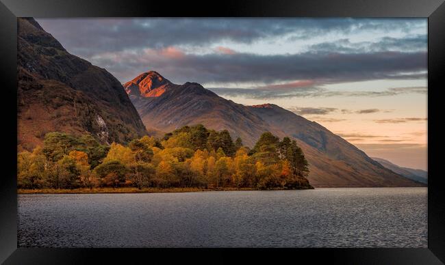 Sgùrr Ghiubhsachain and Loch Shiel in Autumn Framed Print by Miles Gray