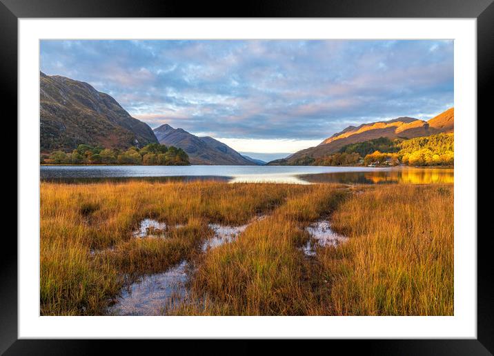Autumn Morning on Loch Shiel Framed Mounted Print by Miles Gray
