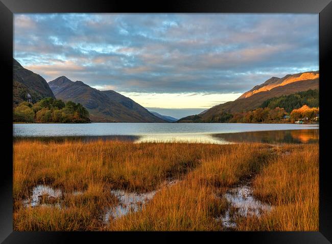 Golden morning light on Loch Shiel Framed Print by Miles Gray