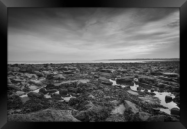 Pausing on the causeway Framed Print by Phil Moore