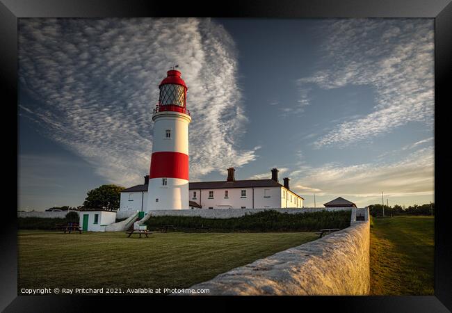 Souter Lighthouse at Whitburn Framed Print by Ray Pritchard