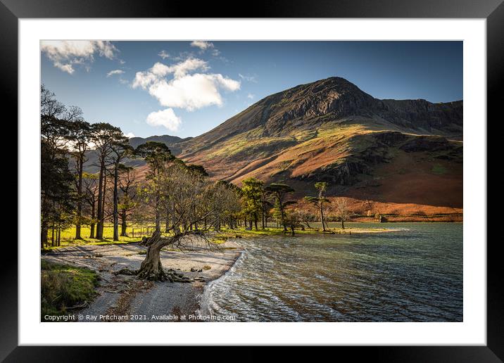 Buttermere in Autumn Framed Mounted Print by Ray Pritchard