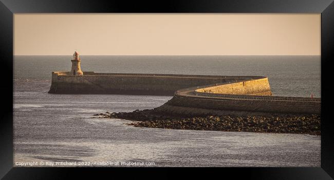 South Shields Pier's Mesmerising Beauty Framed Print by Ray Pritchard
