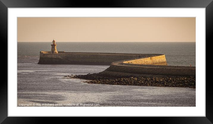South Shields Pier's Mesmerising Beauty Framed Mounted Print by Ray Pritchard