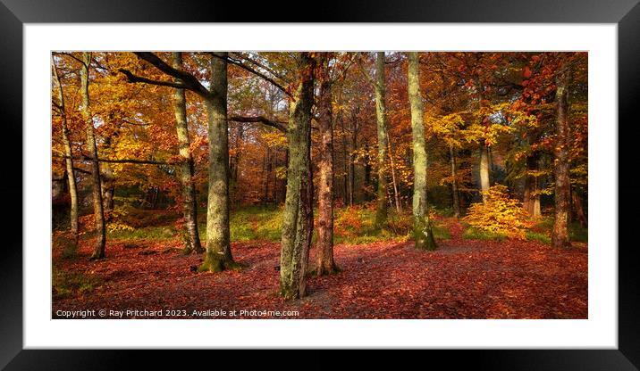Autumn Colours round Derwent Water  Framed Mounted Print by Ray Pritchard
