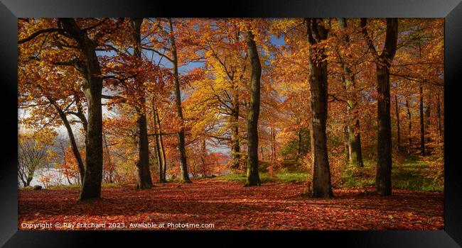 Autumn Colours Around Keswick Framed Print by Ray Pritchard