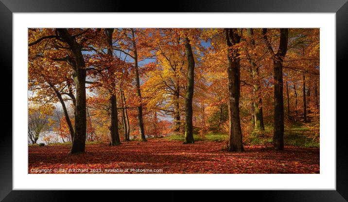 Autumn Colours Around Keswick Framed Mounted Print by Ray Pritchard