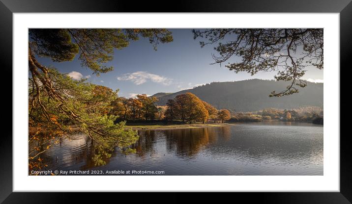 View Over Derwent Water  Framed Mounted Print by Ray Pritchard