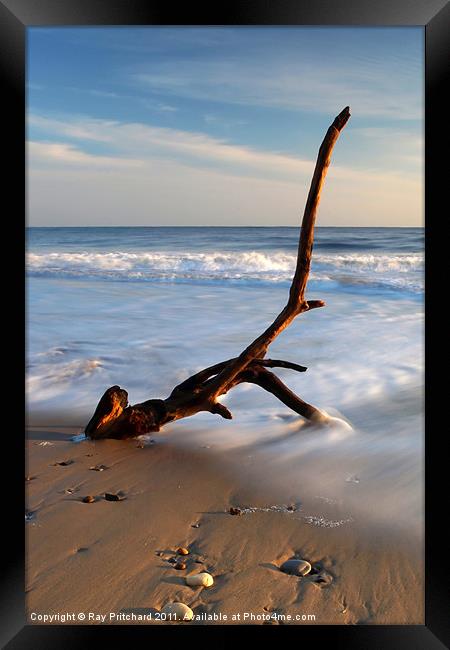 Washed up Framed Print by Ray Pritchard