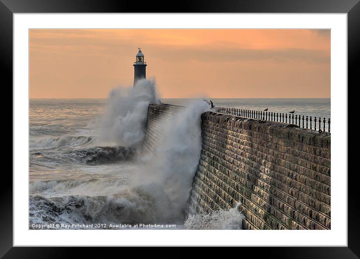Tynemouth Lighthouse Framed Mounted Print by Ray Pritchard