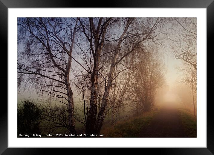 Bowes Cycle Path in the Mist Framed Mounted Print by Ray Pritchard