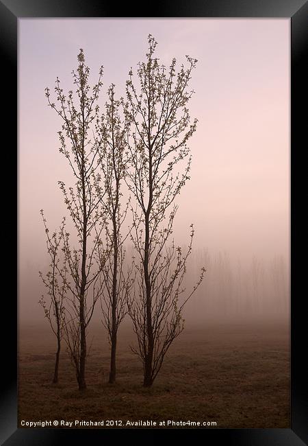 Quarry of Fog Framed Print by Ray Pritchard