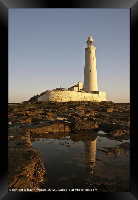 St Marys Lighthouse Framed Print by Ray Pritchard