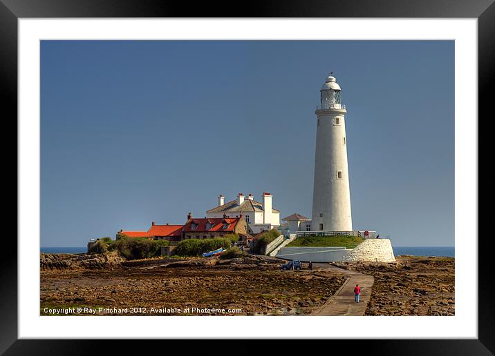 St Marys Lighthouse Framed Mounted Print by Ray Pritchard