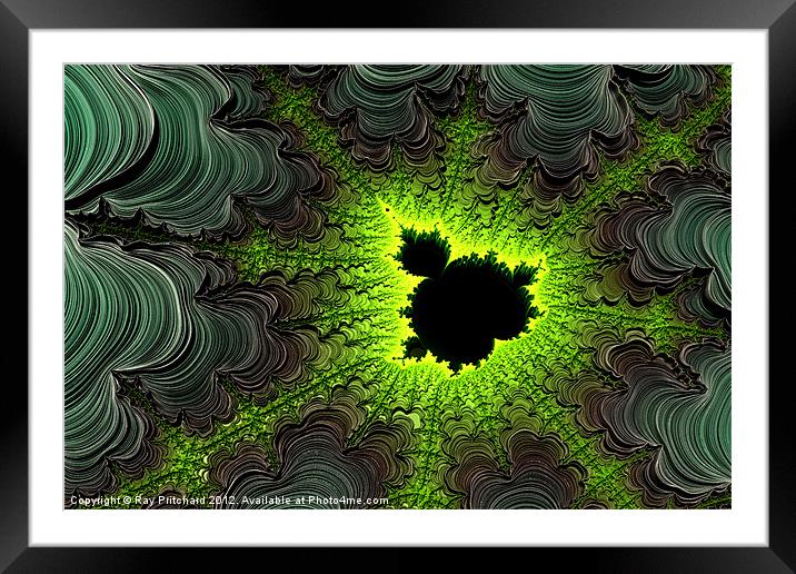 3D Thread Fractal Framed Mounted Print by Ray Pritchard