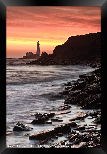 St.Mary's Lighthouse Framed Print by Ray Pritchard