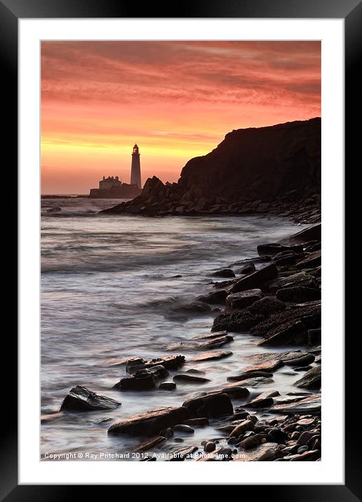St.Mary's Lighthouse Framed Mounted Print by Ray Pritchard