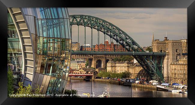 The Sage and the Bridge Framed Print by Ray Pritchard