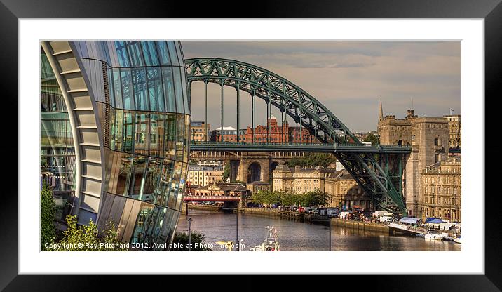 The Sage and the Bridge Framed Mounted Print by Ray Pritchard