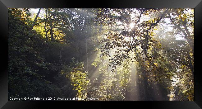 Light Rays at Jesmond Framed Print by Ray Pritchard