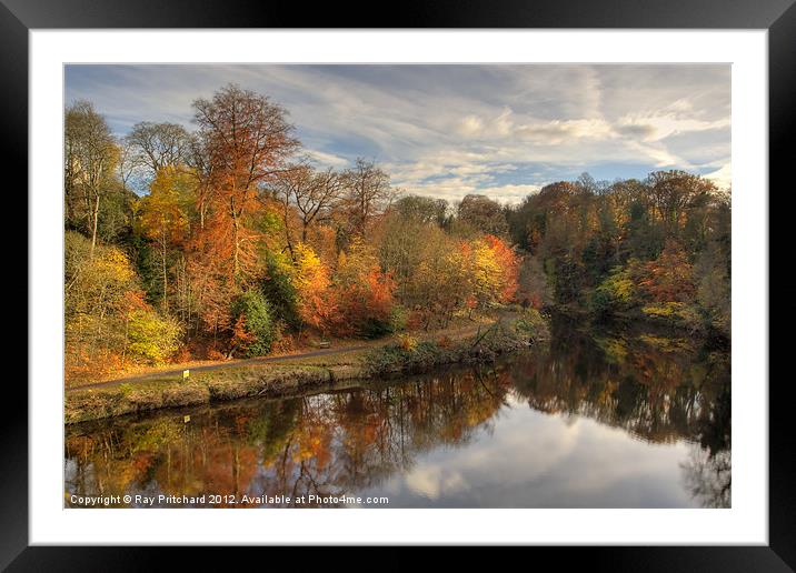 Autumn In Durham Framed Mounted Print by Ray Pritchard