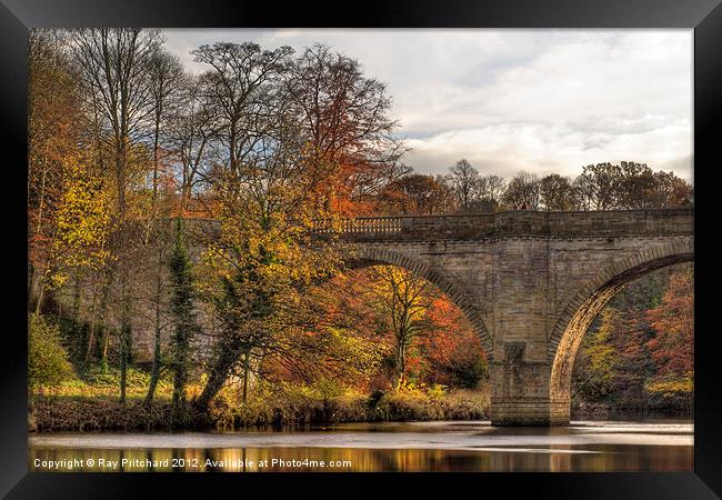 Prebends Bridge in Autumn Framed Print by Ray Pritchard