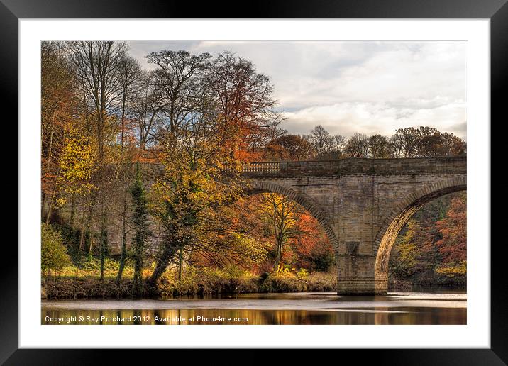 Prebends Bridge in Autumn Framed Mounted Print by Ray Pritchard
