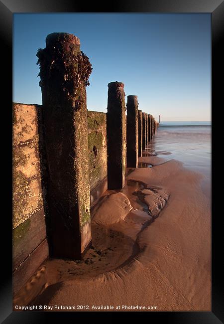 Blyth Beach Framed Print by Ray Pritchard