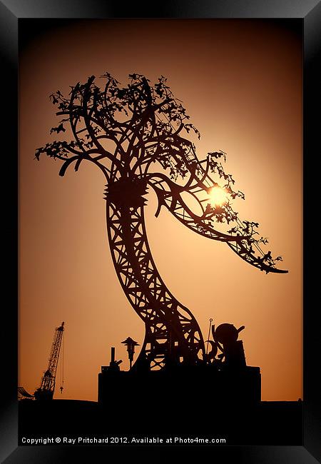 Iron Tree Framed Print by Ray Pritchard