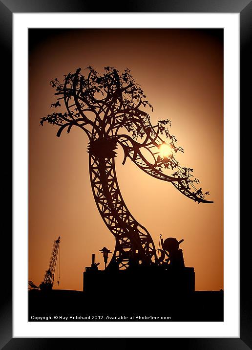 Iron Tree Framed Mounted Print by Ray Pritchard