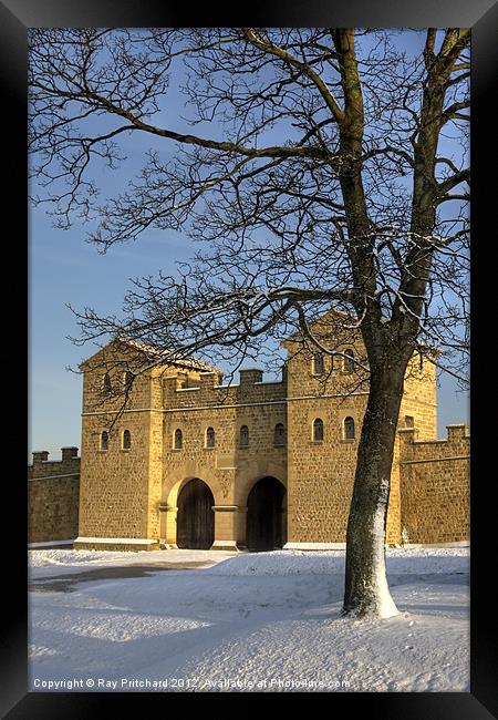 Arbeia Roman Fort Framed Print by Ray Pritchard